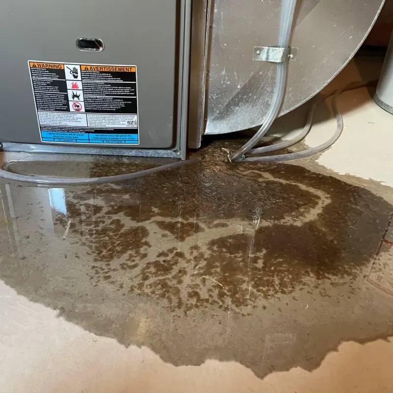 Appliance Leak Cleanup in Geistown, PA